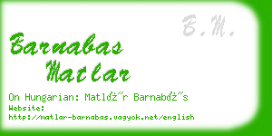 barnabas matlar business card